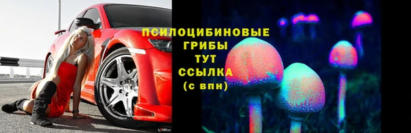 а пвп мука Богданович