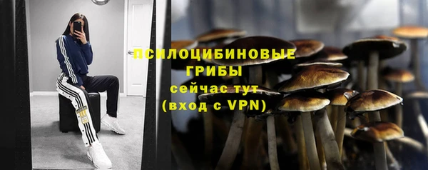 ешки Богородск