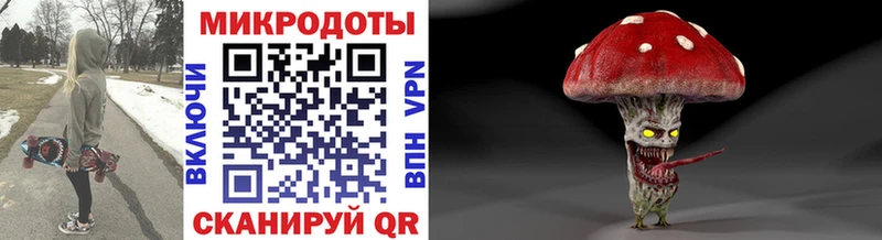 закладка  Ахтырский  Псилоцибиновые грибы мухоморы 